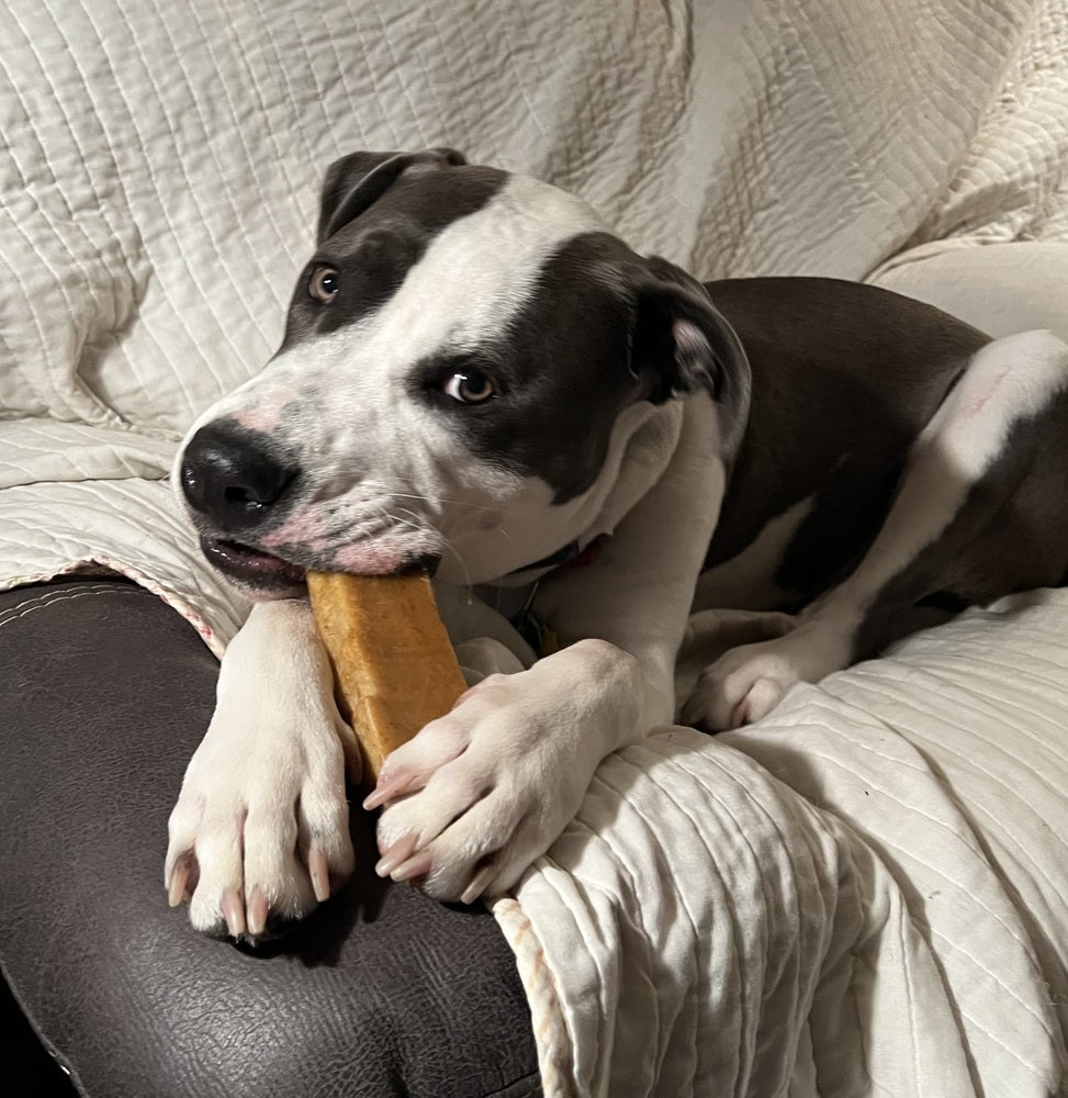 All Natural Himalayan Yak Cheese Dog Chews